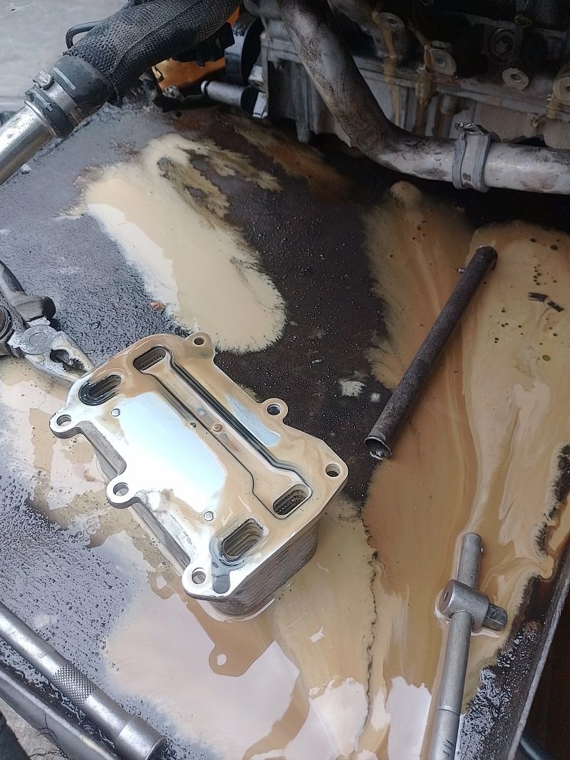 Cylinder Borescope Coolant Wash Verification